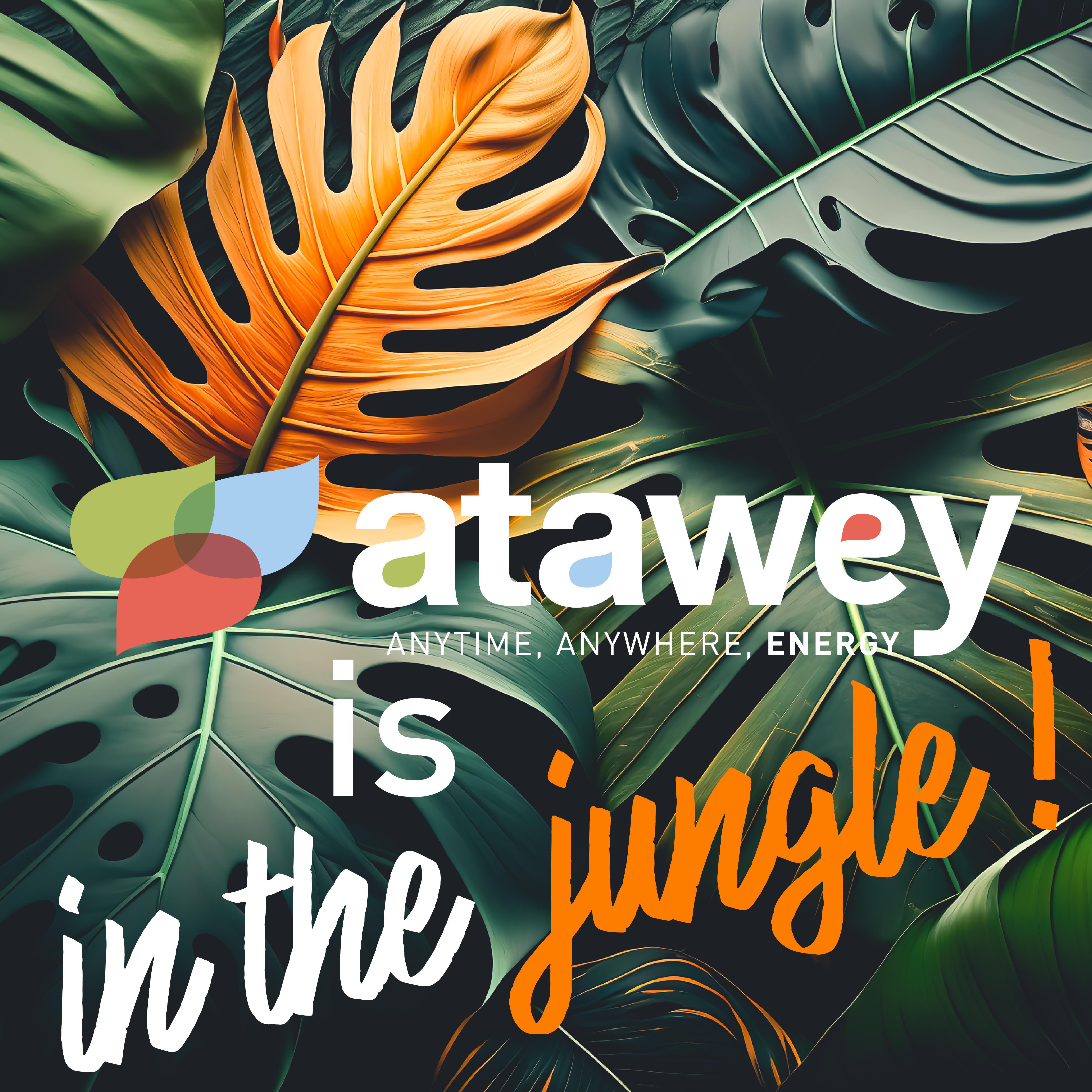 Offre emploi Atawey Welcome to the Jungle